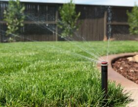 Автоматический полив