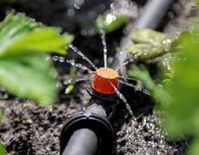 Капельный полив в Гомеле